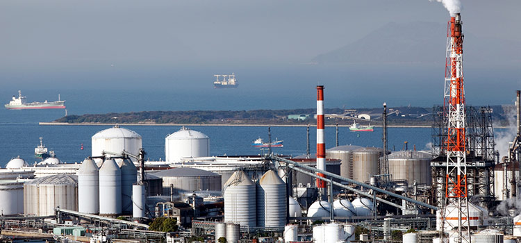 J8de App Download – Official Mobile Casino